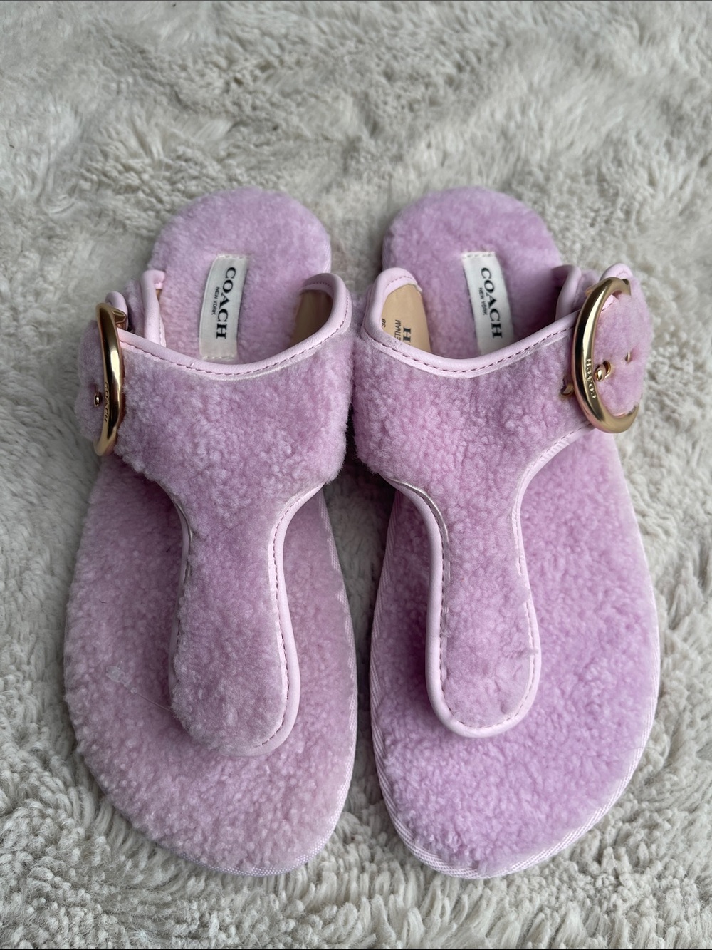 Coach Hollie Shearling Thong Sandals with Gold Buckle in Pale Pink Size 7.5